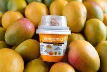 Load image into Gallery viewer, Epigamia Snack Pack, Mango Greek Yogurt with Chunky Granola