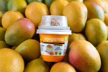 Load image into Gallery viewer, Epigamia Snack Pack, Mango Greek Yogurt with Chunky Granola
